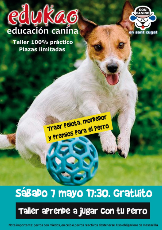 Juguetes interactivos para perros - Adiestrar Perros Barcelona